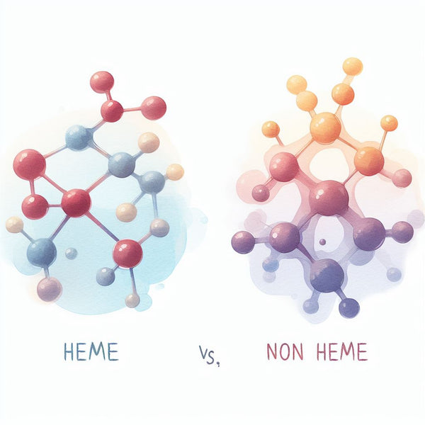 Heme Iron Supplements vs Non-Heme